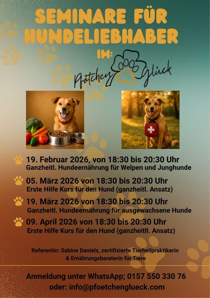 Seminare für Hundeliebhaber Flyer