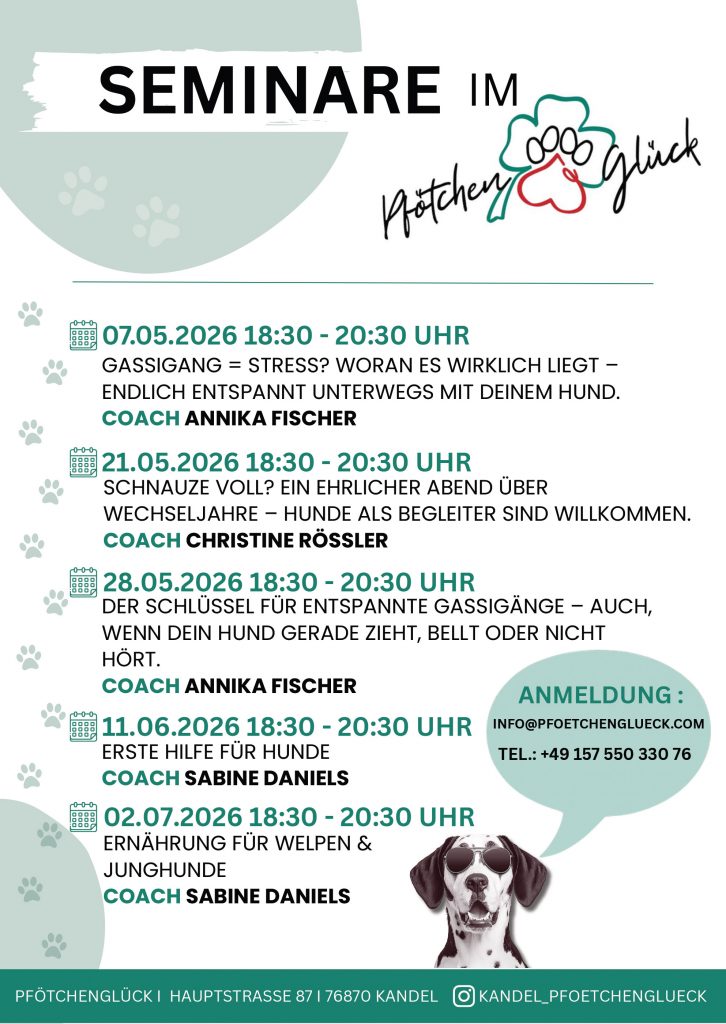 Seminare im Pfötchenglück